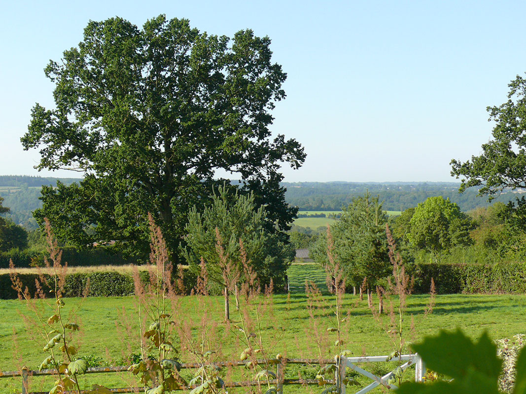 vue panoramique resized